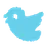 Twitter icon